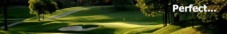Generic Golf Image